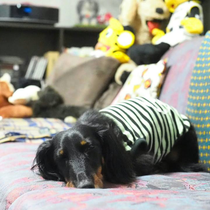 0c7ec4d0 b75c 4c44 8c22 6c17070398b8 1592467433225