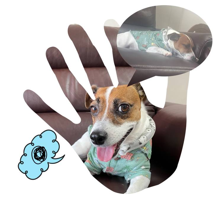 0c7ecb33 6581 446f 8aba 65adc674f18d 1692497561443