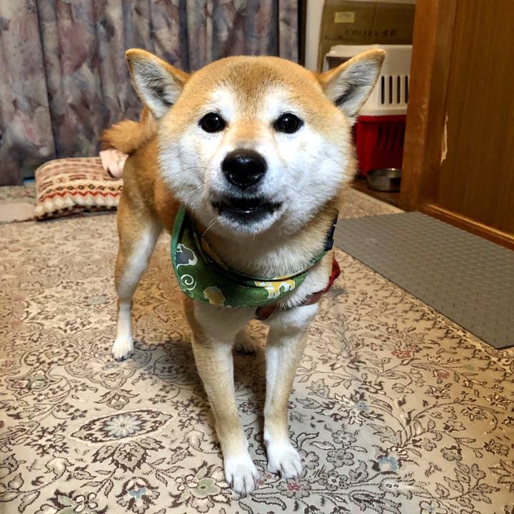 0c7ed0f3 baa6 4db4 a409 980fda4b59a4 1555237880021