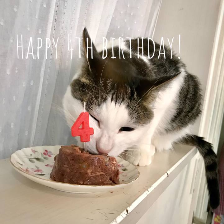 0c7ed21d ba2a 4432 b6fa ca7bf1755e01 1620625012814