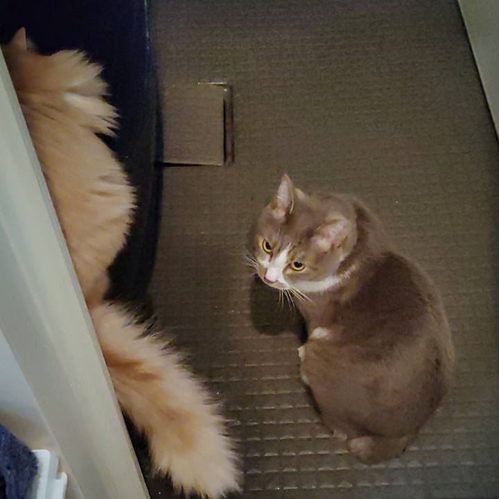 0c7ef3fb 1ee0 460b a90a 529395419418 1671141627918