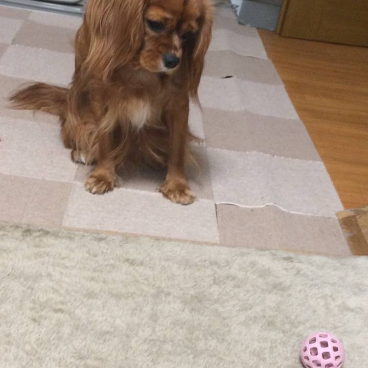 0c7f13a6 d141 4890 89b8 7e40e5fea9e4 1522849670181