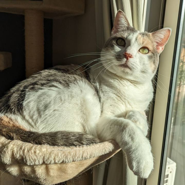 0c7f170b b97e 4236 88b2 b3ccbe2ea919 1705031375247