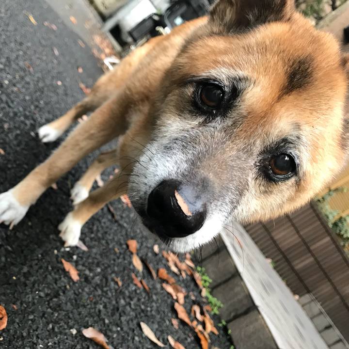 0c7f523a 9fdf 4c7e 9d06 07cf4130695c 1542061181741