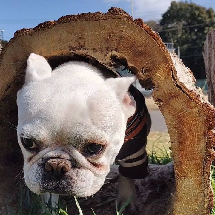 0c7fdb95 5c68 4e49 a32e bd177ebd725b 1677125895660