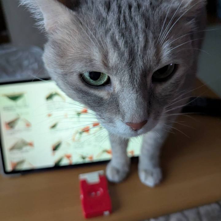 0c7fe97c e4d2 404e 9079 66c7dad1dbbf 1770620026598