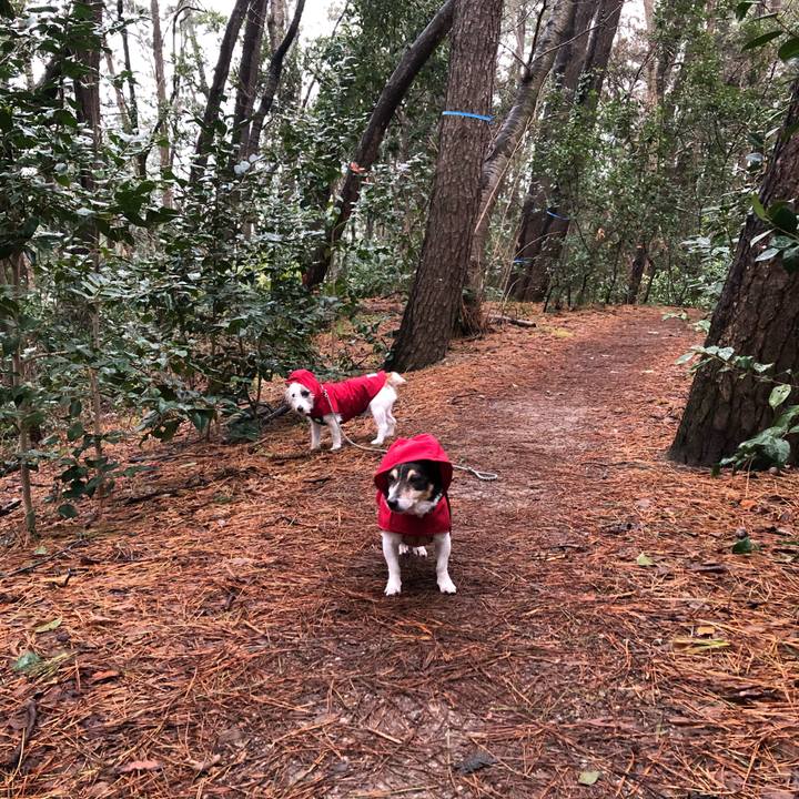 0c800b1f 71a3 4545 8ec0 d095a280eca8 1582759861378