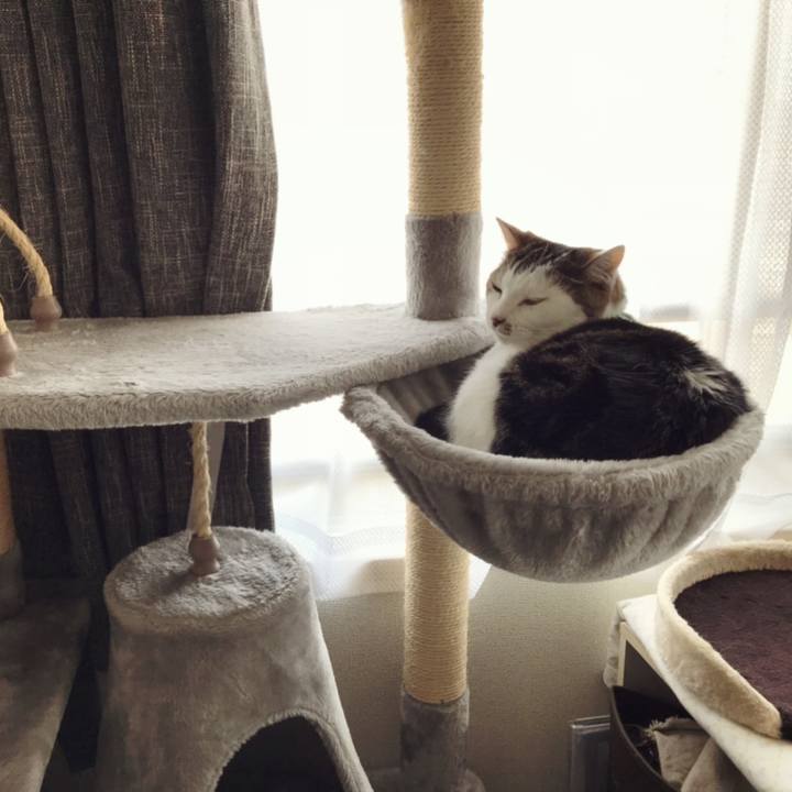 0c800b9d 621a 4f29 b867 a864b9543811 1593838496995