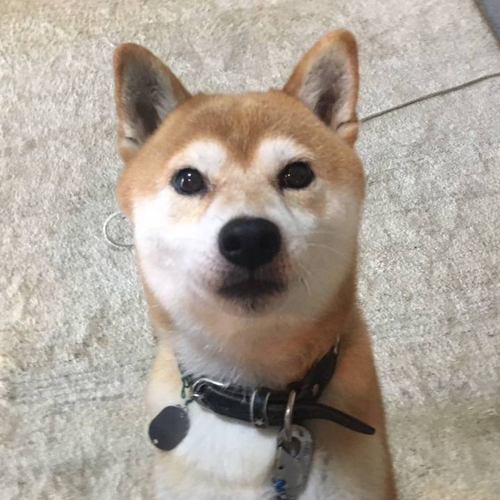 0c8014e5 41c0 4b52 863b 8b41f9968e76 1688122420239