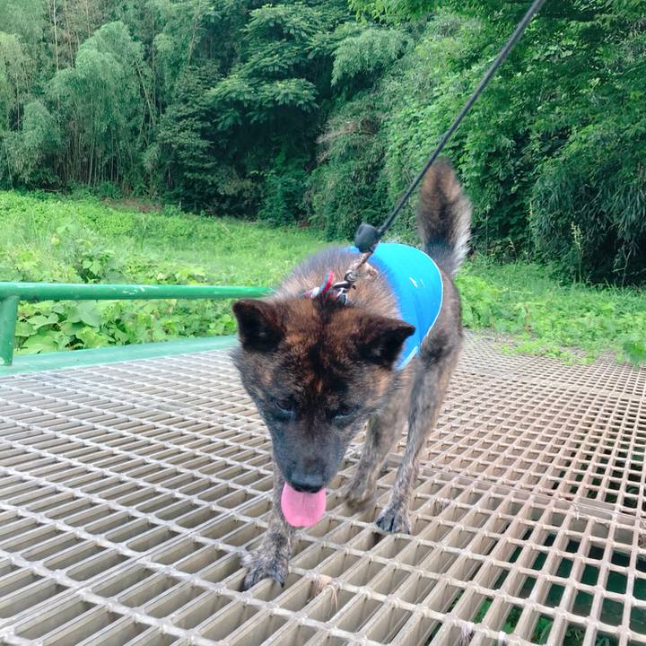 0c8028a0 155d 4399 9494 541197704173 1531733040701