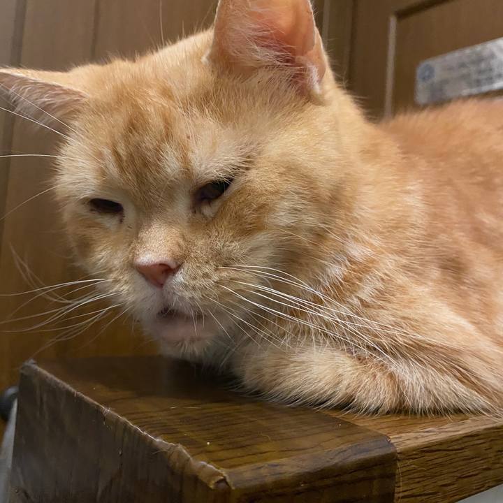 0c80321c 826d 4662 8d99 dd286d019f0e 1600177432424