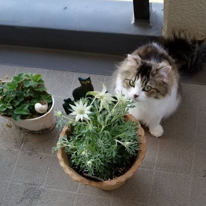 0c8079d1 78e7 4876 a58e 51eaa8a6803b 1558827065706