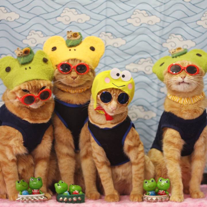 0c809d1c ac32 493a b062 1df8df9f6b76 1717326127450