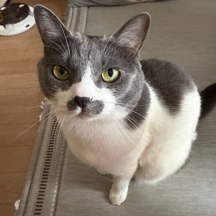 0c80e546 7090 4c7c 9645 b78b5a95bcad 1760841050359