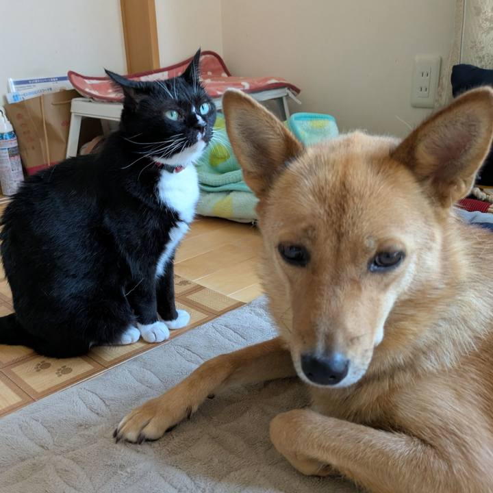 0c80ea0d 0649 4907 b80f 0a5ae05935c0 1756089791257