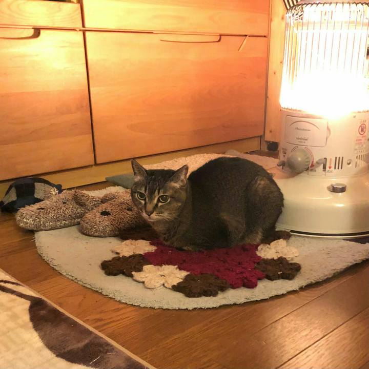 0c80ecc6 d2ce 4a78 85bc 69dbc0ab83a2 1613108896055