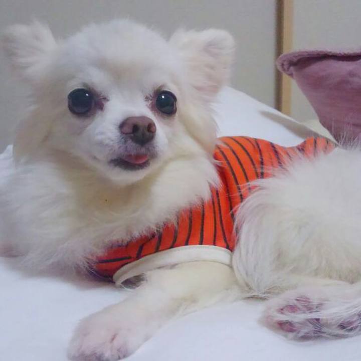 0c80f0da 7a16 4ca0 a0e1 f6e5c97f8b23 1539778753928