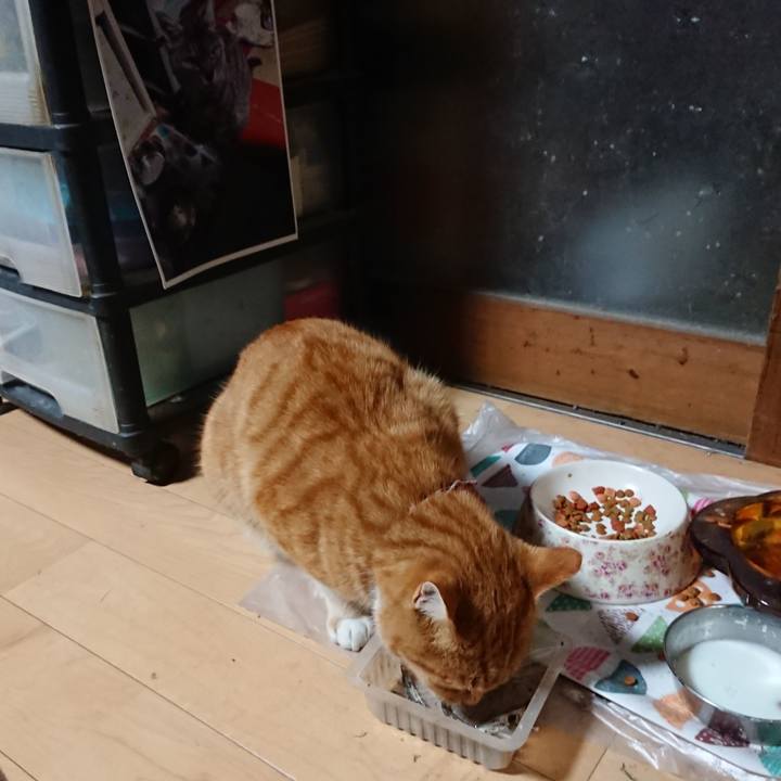 0c80f9d6 abee 475a 9fb1 27a988106e8c 1606160969554