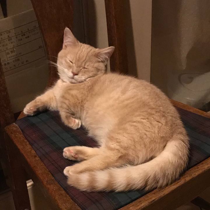 0c812feb 5d36 4afb a990 4d258a734183 1516975944947