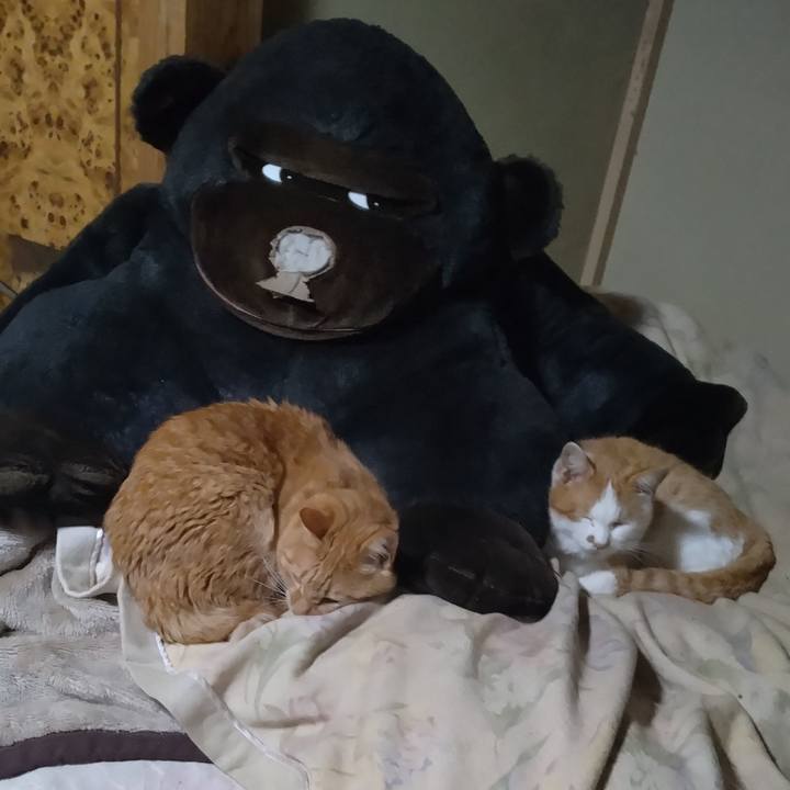 0c81332d 8b82 4869 a39b adc655026b46 1767180971538