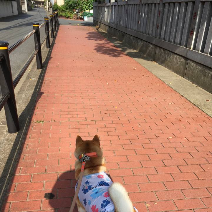 0c817c60 bf1c 488e ae62 1eb569d04680 1613216614518