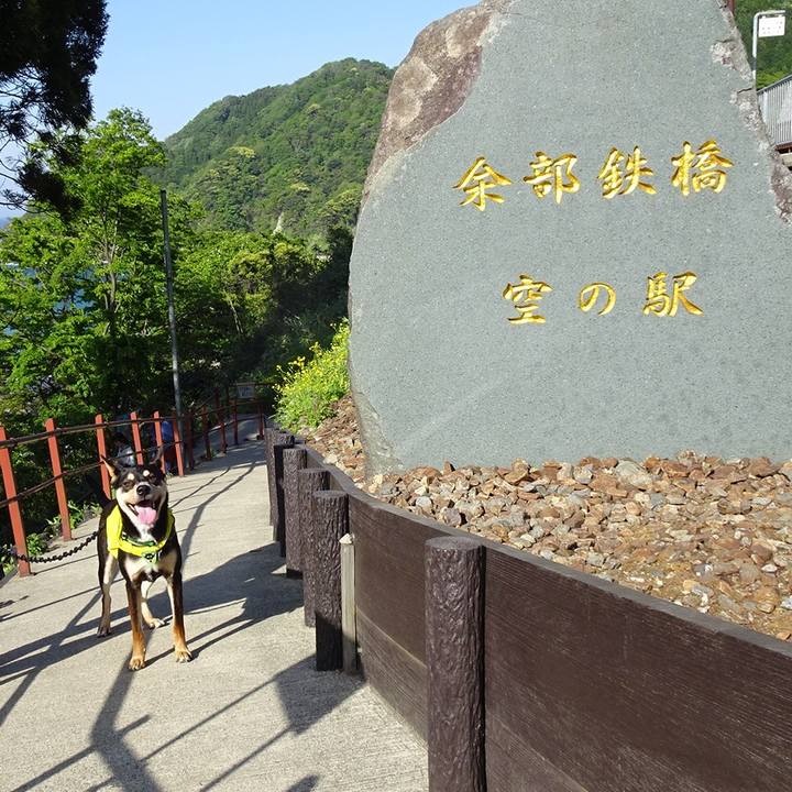 0c818179 d955 4625 9737 facab41d63e5 1525437621793