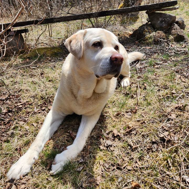 0c81830a b28d 440a a431 71398c241e8d 1745641308555