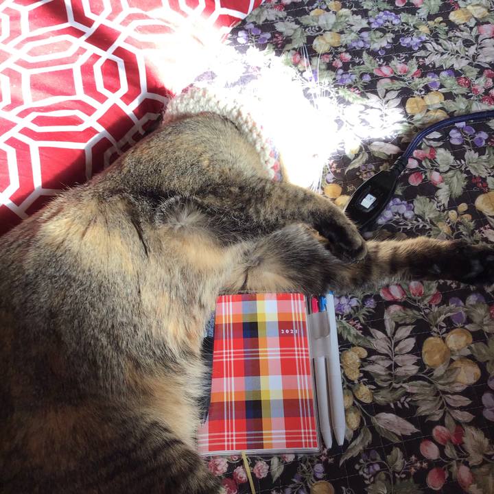 0c819ddb cf4e 4749 b48d 8a1ba1faa822 1619218107560