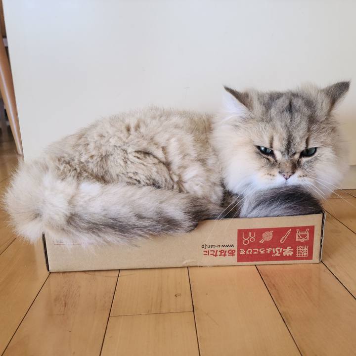 0c81dfec d835 4ba0 9308 4a66512a0fec 1698364255038