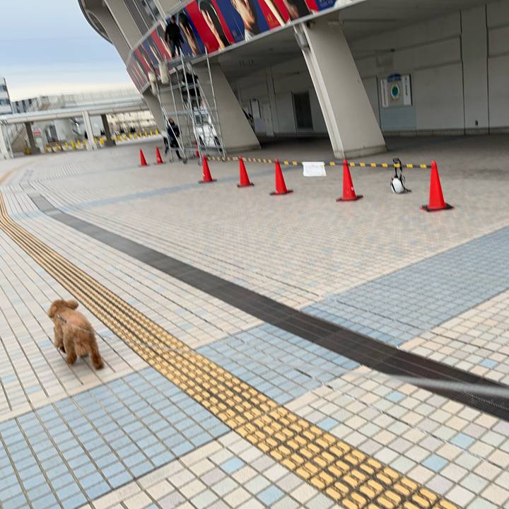 0c81ee5e 9309 46b8 846c bd1d13a7c2f1 1772722511502