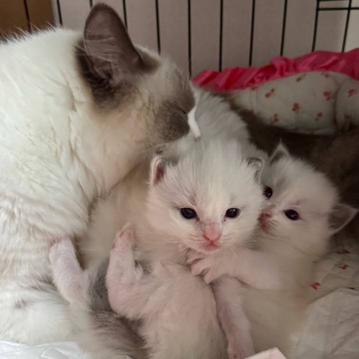 0c82010f 7f55 443d 9e84 91e9c8bc8eb9 1749515613014