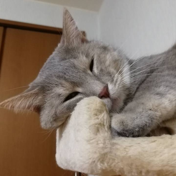 0c820473 8f4d 45f5 a716 36b648d844ec 1532752996512