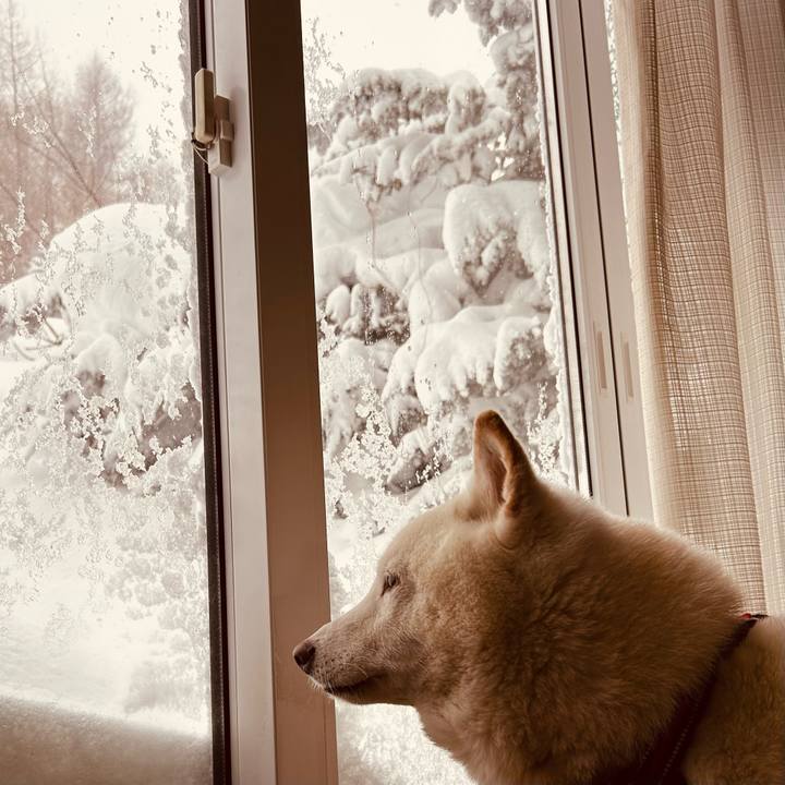 0c8217eb 2f0d 4568 8a76 8f79d39186cc 1769594361042