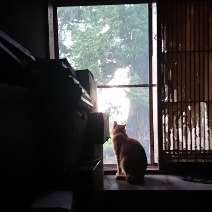 0c829c49 2753 4a6e b7f5 68f75bee2d5a 1661115689033