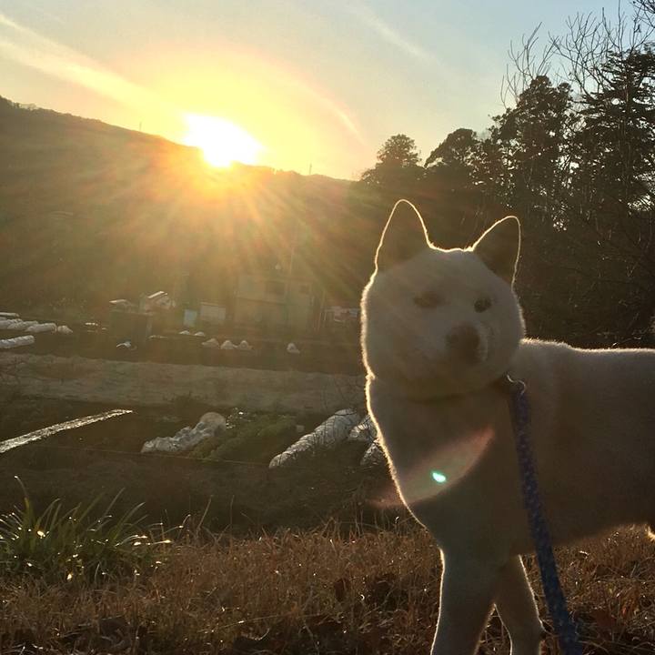 0c82f189 6f85 4500 a1db b8befb0966c5 1515937261675