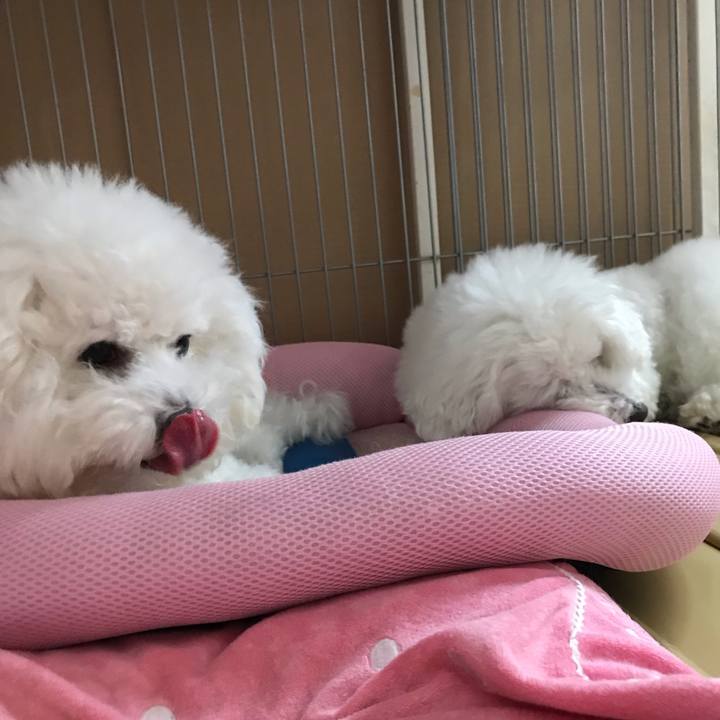 0c82ffc2 7e00 4ff1 a485 a8b9017e13c2 1571116439477