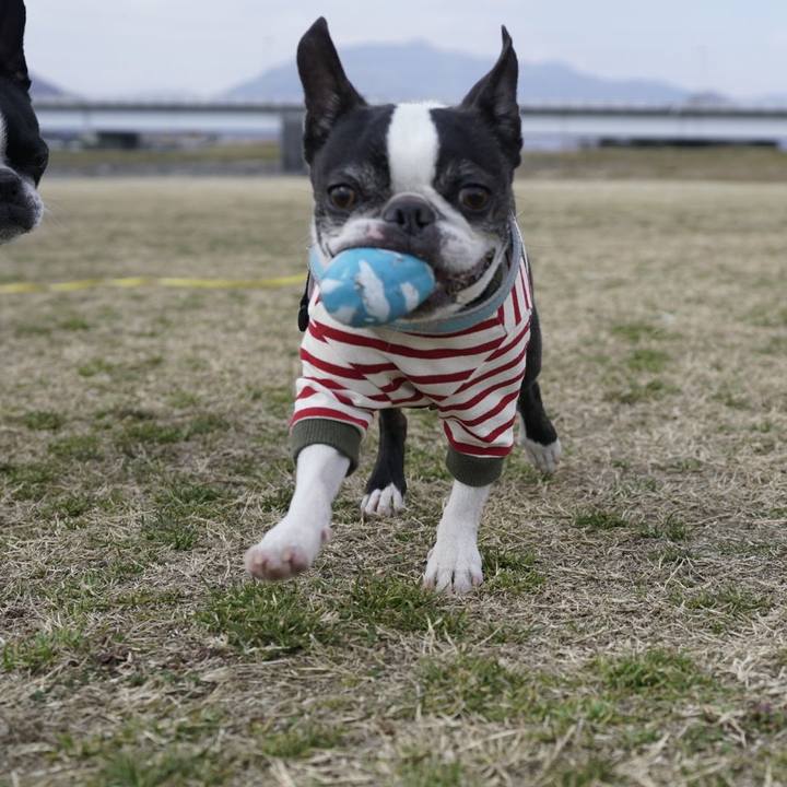 0c8361e0 fad1 46c8 8a12 78cd8dae3a5d 1519632151632