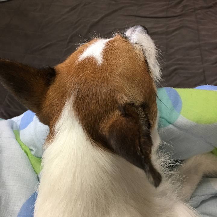 0c8364d4 b38c 466e a5a1 9559c9dae0f2 1563247716187