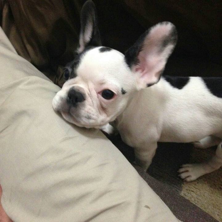 0c837750 ec5f 4417 accd a0569aa6cd42 1531218085148