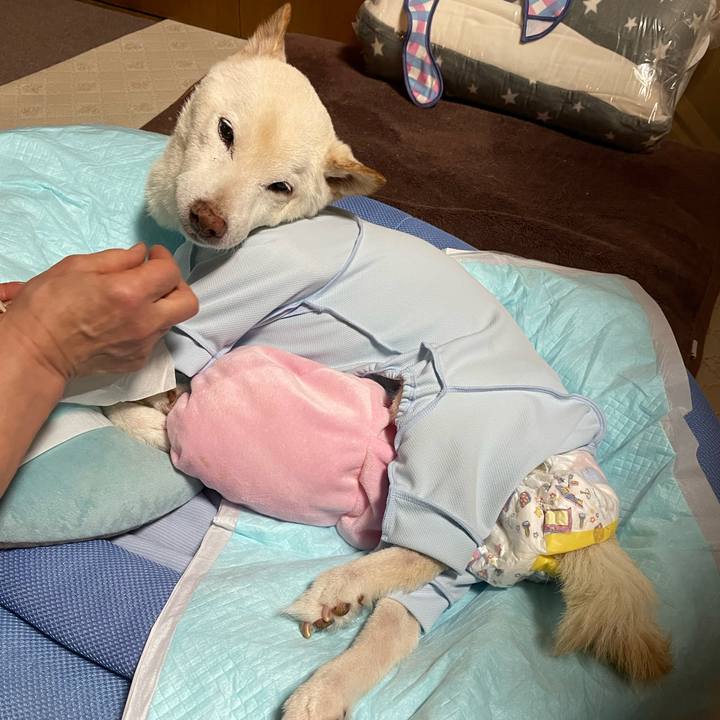 0c840d8b ae6f 41f8 b0b5 456235f23986 1674549561373