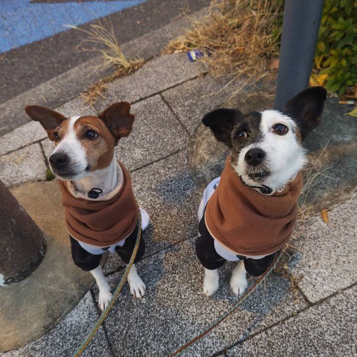 0c841f79 94a1 464e b77a 6c639be3c7f9 1736824957065