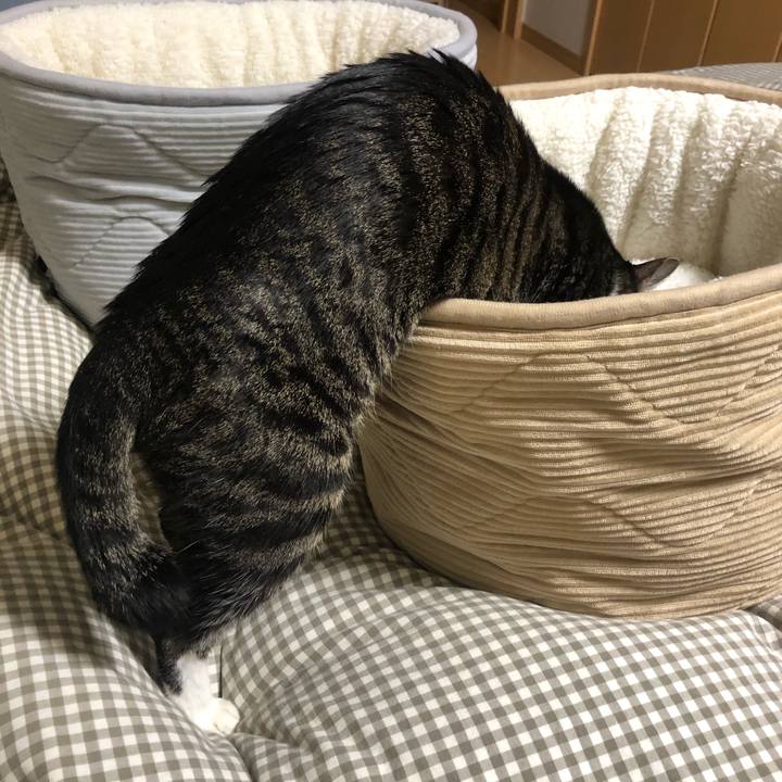 0c8420c1 909d 4099 a993 62d8d3353e93 1578749002274