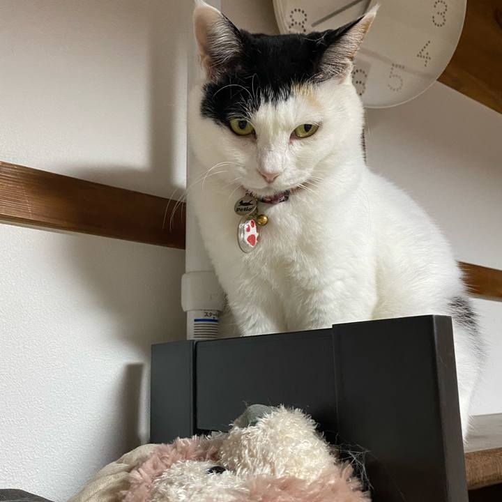 0c845e7e 51e7 4d44 8506 bf41506279e2 1717111914299