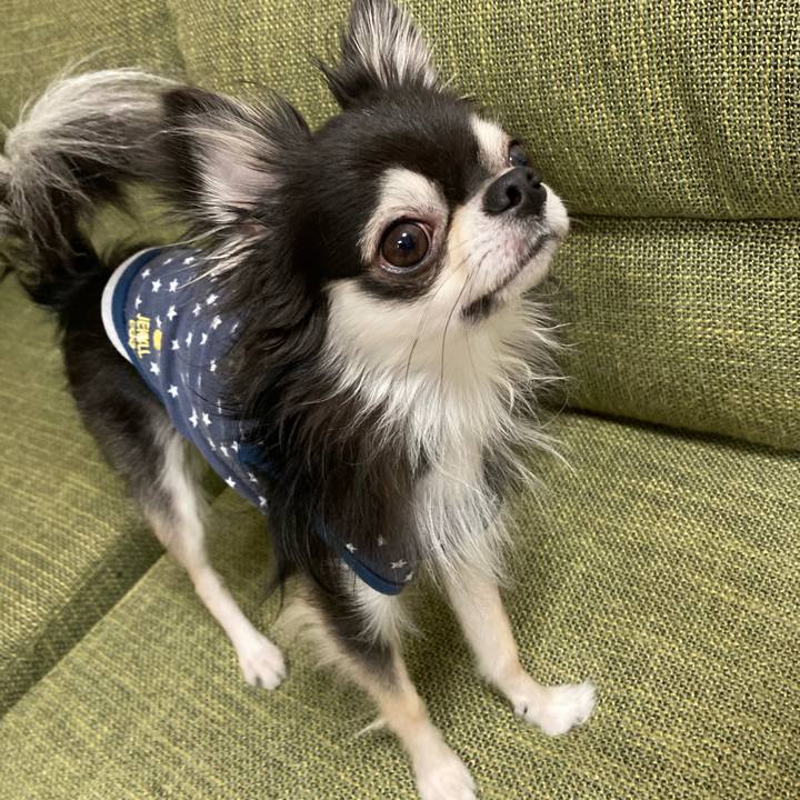 0c847dd5 bcdf 4726 91ce 8adcf2208080 1666446747690