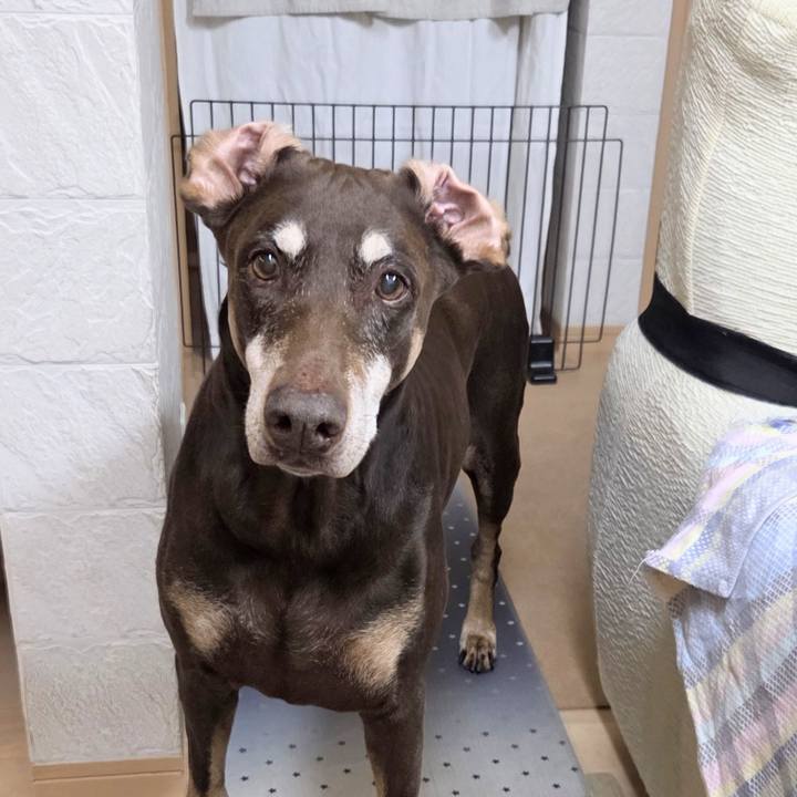 0c849d9f 0850 440a 84a1 02cb80d12fee 1764127440044