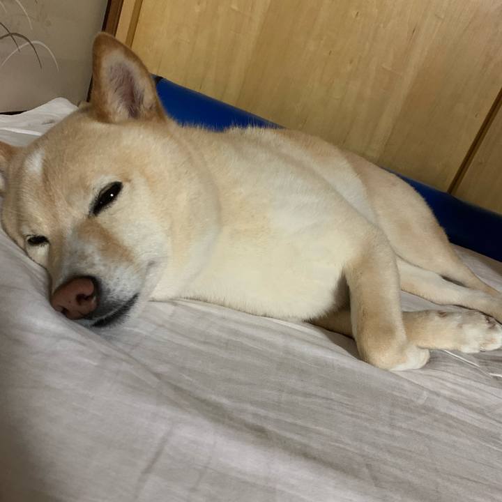 0c84b09b 38f1 4d03 997f 70f4ef3c3f1b 1654772967297