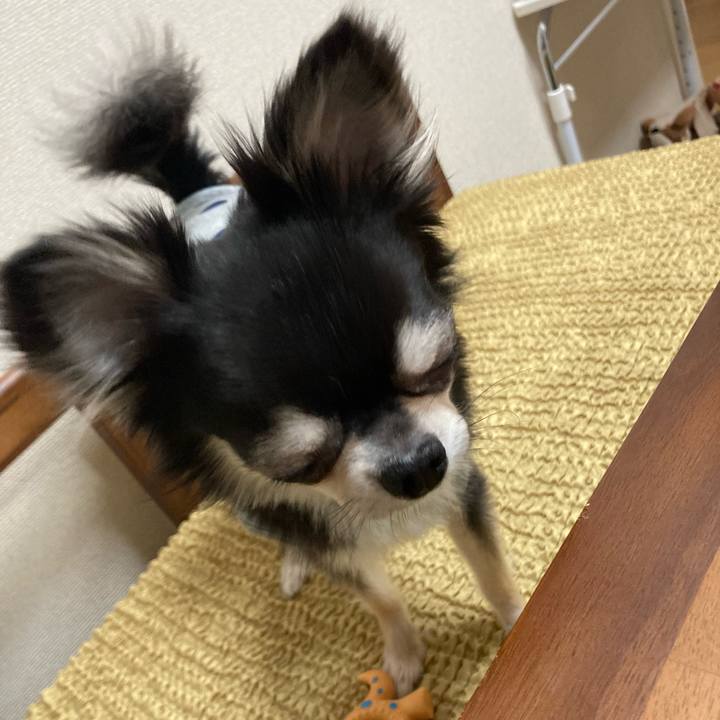 0c84d08d d6a9 4292 8578 c8bd20724622 1649512867122