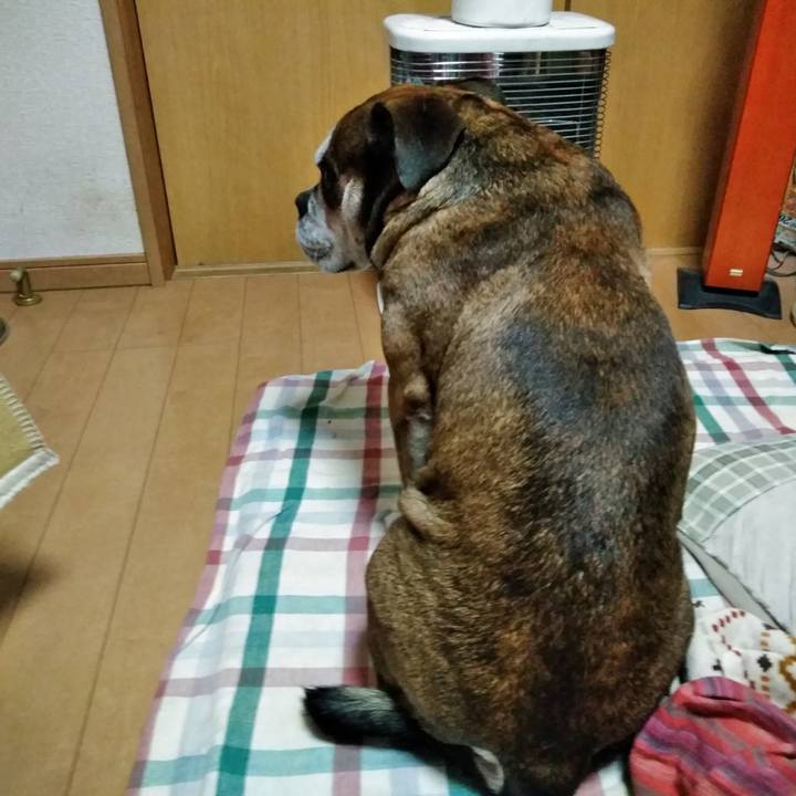 0c853c3e 0eb8 49f3 9856 6405fb1edb8e 1551355927662