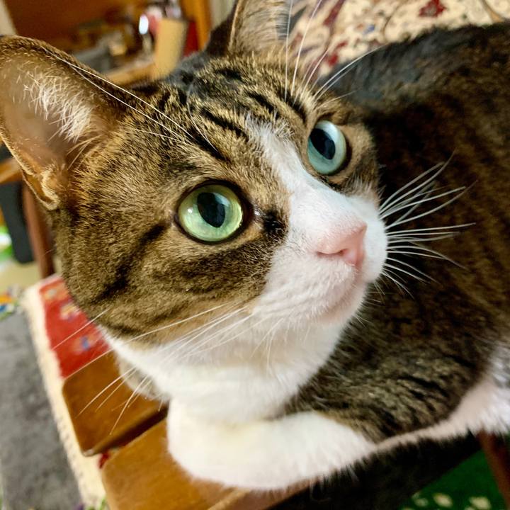 0c855766 3a3a 44aa bdcc 1573e769c29c 1599289618286