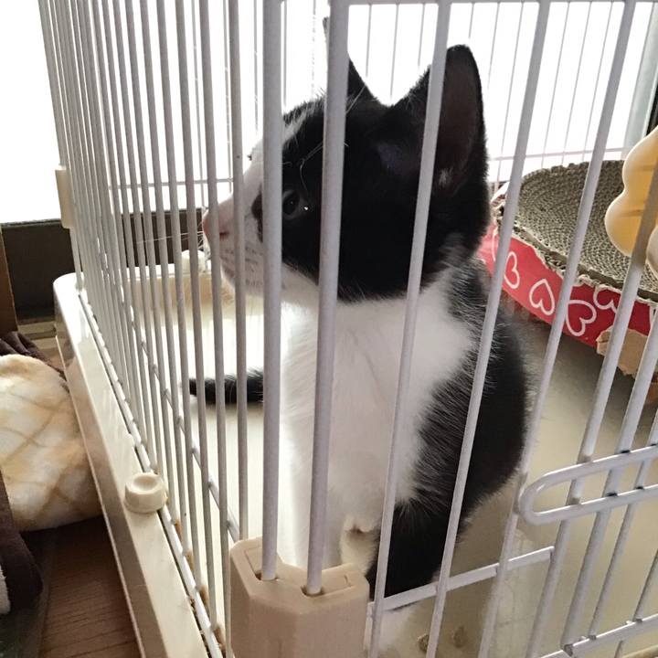 0c855cd6 ced8 4d53 b345 b7ba21550efd 1624516626156